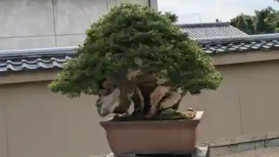 芳春院(京都府)