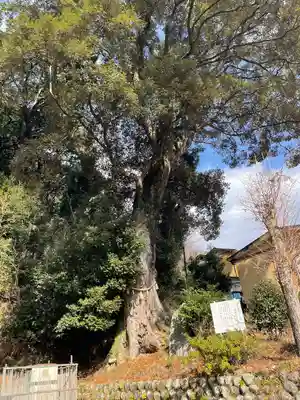 日枝神社(静岡県)