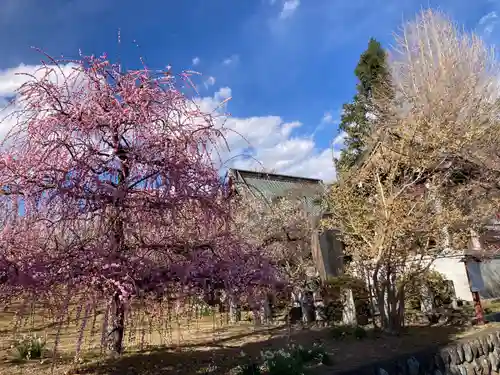 瑞雲寺(神奈川県)