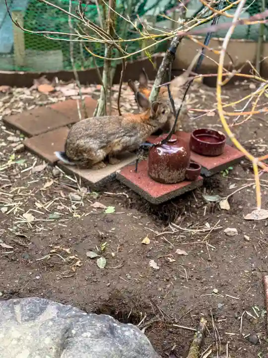 天岩戸神社(宮崎県)