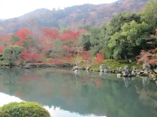 天龍寺の庭園