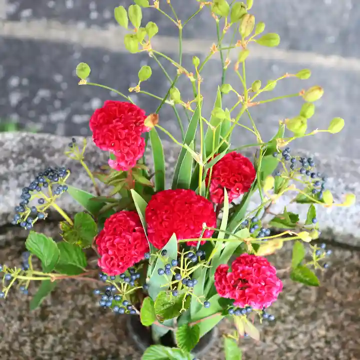 三津厳島神社の手水舎