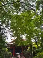 井の頭弁財天(大盛寺)のその他建物