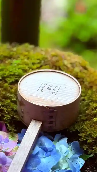 柳谷観音 楊谷寺(京都府)