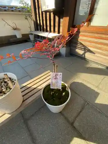 妙蓮寺(神奈川県)