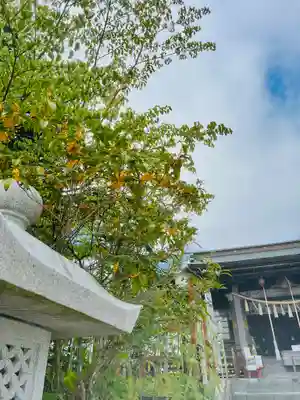 仙台八坂神社(宮城県)