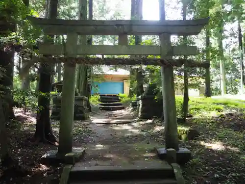 五所神社の鳥居