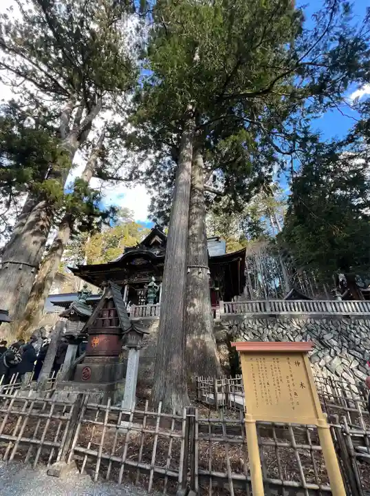 三峯神社(埼玉県)