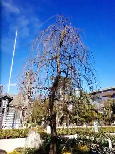 常性寺(東京都)