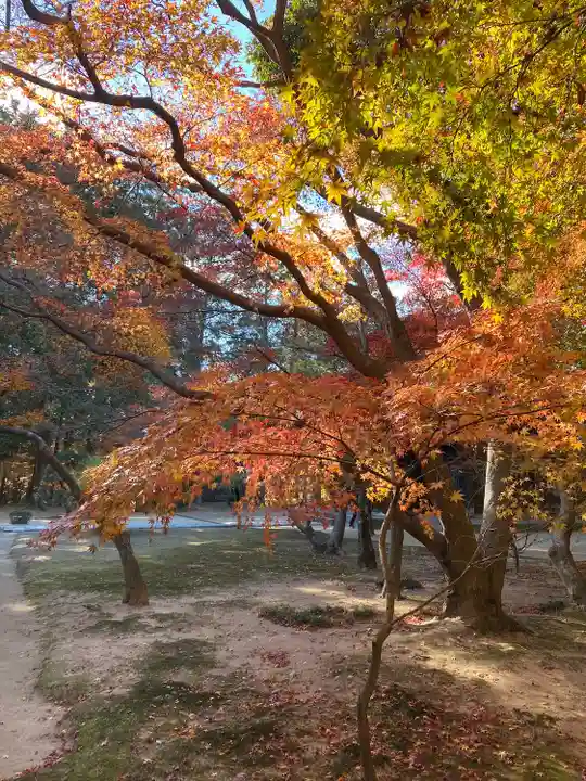 曹源寺(岡山県)