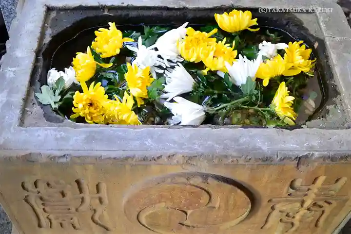 菊名神社の手水舎