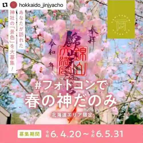 彌彦神社　(伊夜日子神社)の体験その他