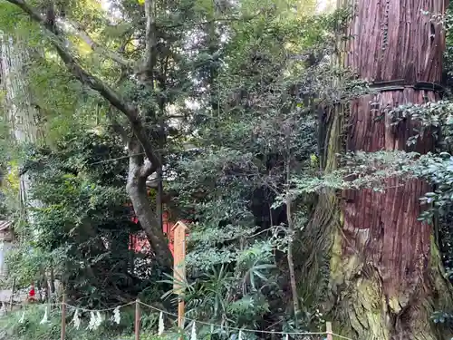 香取神宮(千葉県)