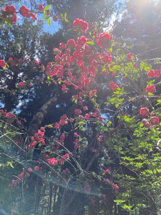 新海三社神社(長野県)