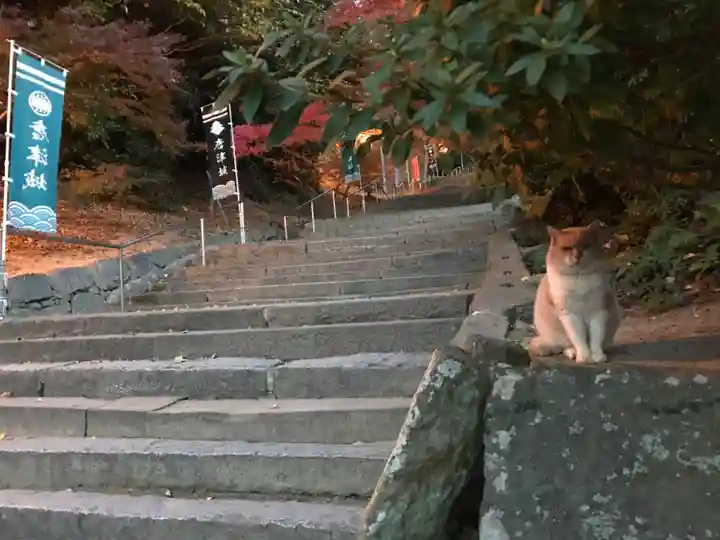 唐津神社(佐賀県)