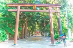 八幡神社(宮城県)