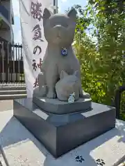 駒込妙義神社(東京都)