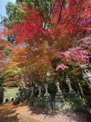 箸蔵寺(徳島県)