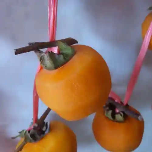 七重浜海津見神社(北海道)