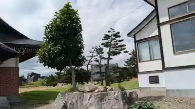 雨竜 専福寺の自然