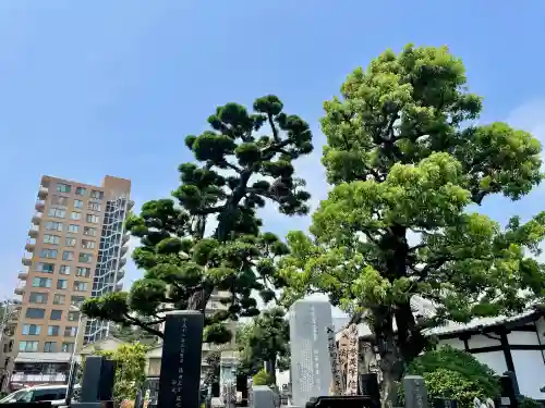 長円寺(静岡県)