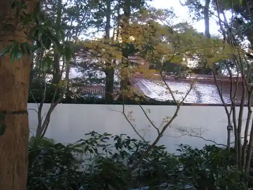 國學院大學神殿(東京都)