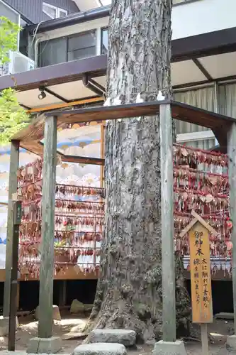 越谷香取神社(埼玉県)