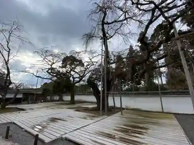 醍醐寺(上醍醐)(京都府)