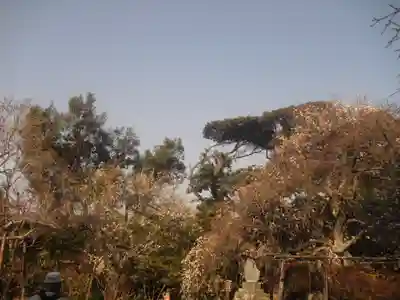 宝戒寺のその他建物