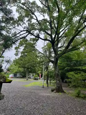 闘鶏神社(和歌山県)