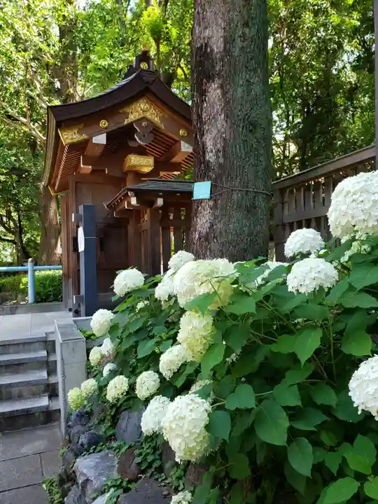 熊野神社(東京都)