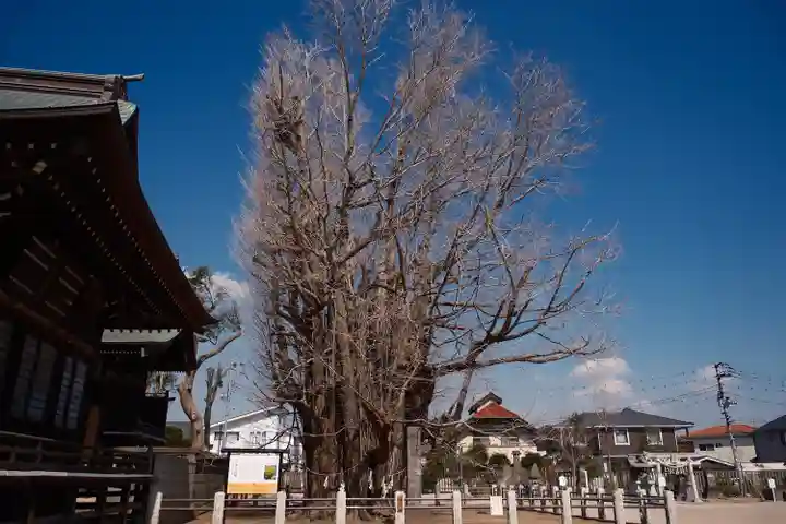 葛飾八幡宮(千葉県)