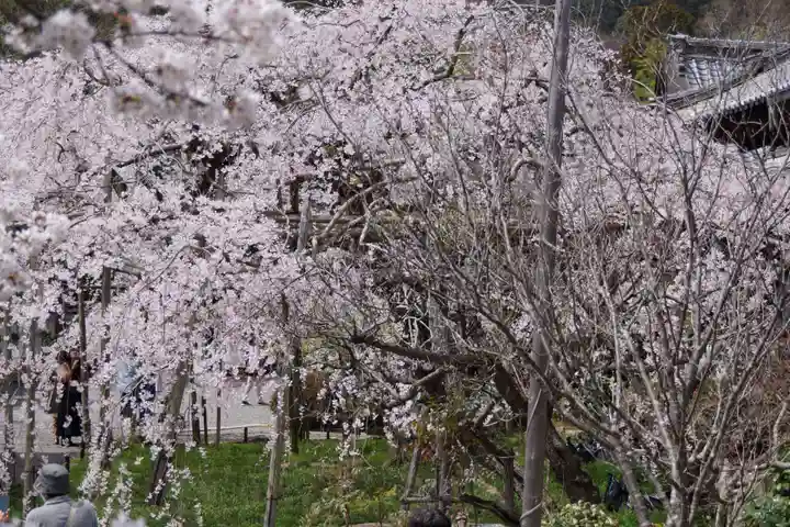 毘沙門堂門跡(京都府)