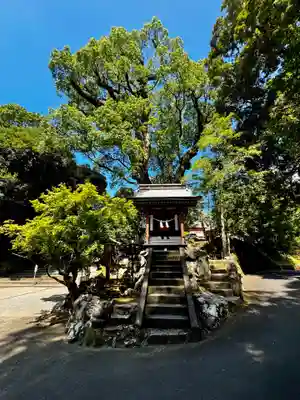 鹿児島神宮(鹿児島県)