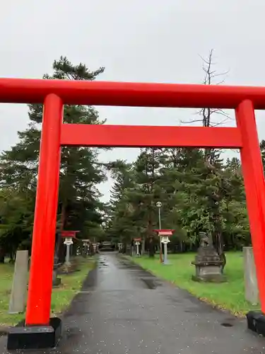 雨龍神社の鳥居