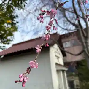 豊景神社(福島県)(2024年04月06日(土) 12時16分55秒投稿)