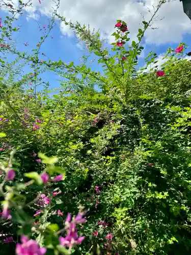 勝念寺（かましきさん）(京都府)