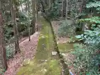 宮川神社の{uncategorized: "未分類", other: "その他", undefined: "問題あり", building: "その他建物", grave: "お墓", sacred_gate: "鳥居", guardian: "狛犬", statue: "像", buddha: "仏像", history: "歴史", nature: "自然", garden: "庭園", animal: "動物", pagoda: "塔", temizu: "手水舎", mountain_gate: "山門・神門", sanctuary: "本殿・本堂", subordinate: "末社・摂社", art: "芸術", scenery: "景色", jizo: "地蔵", ema: "絵馬", goshuin: "御朱印", omikuji: "おみくじ", items: "授与品その他", amulet: "お守り", goshuincho: "御朱印帳", eats: "食事", festival: "お祭り", votive_dance: "神楽", shichigosan: "七五三参", wedding: "結婚式", experience: "体験その他", initially: "初詣", around: "周辺", anti_infection: "感染症対策"}