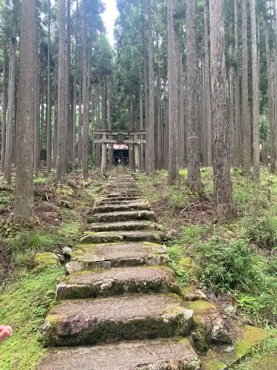 賀茂神社(京都府)