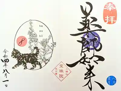 令和4年 月替り御朱印8月
『鍵しっぽのさび柄子猫と禊萩(ミソハギ)薬師如来』
