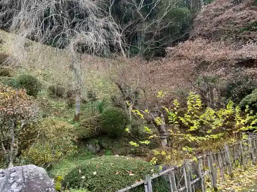 藥王寺の庭園