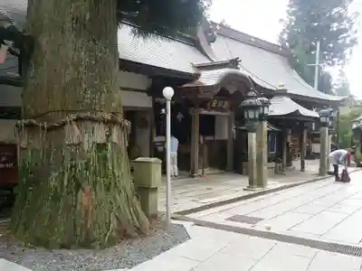 能勢妙見山（真如寺境外仏堂）の本殿・本堂