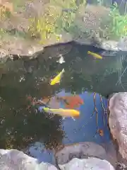 宇賀神社(神奈川県)