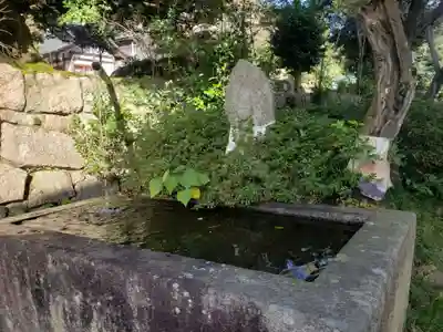 西福寺の手水舎