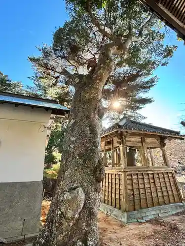 金華山黄金山神社(宮城県)