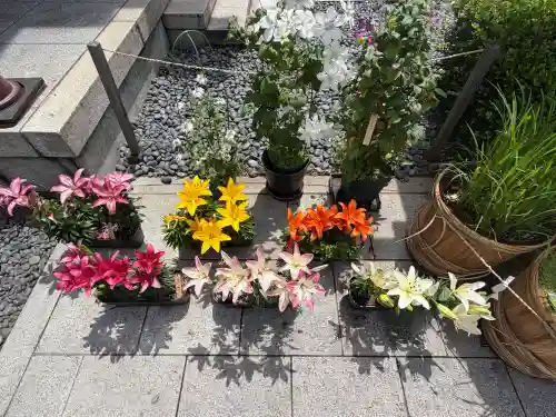 東京大神宮(東京都)