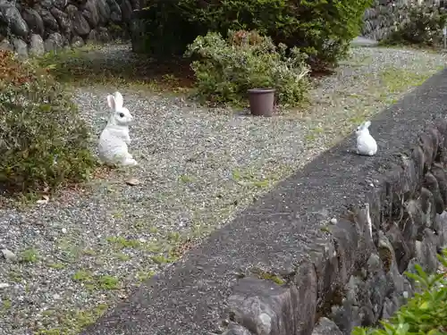 日蓮宗 総本山 塔頭 定林坊(じょうりんぼう)の狛犬