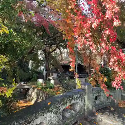 舎那院(滋賀県)