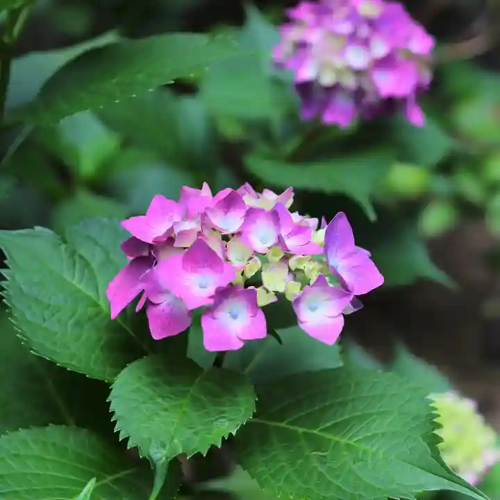 三津厳島神社(愛媛県)