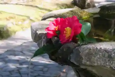 法然院(京都府)